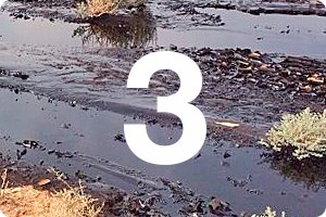 Замазученные земельные участки